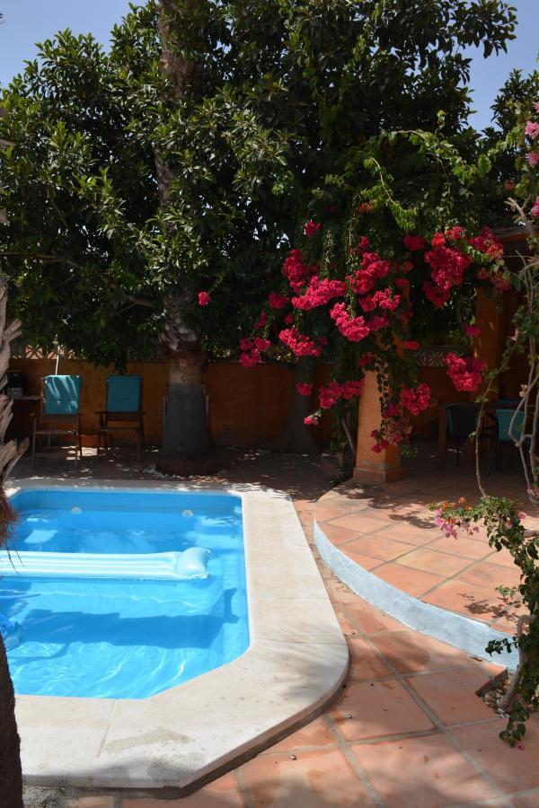 Apartamento Con Jacuzzi Y Terraza Con Opcion A Piscina Privada Almuñécar المظهر الخارجي الصورة